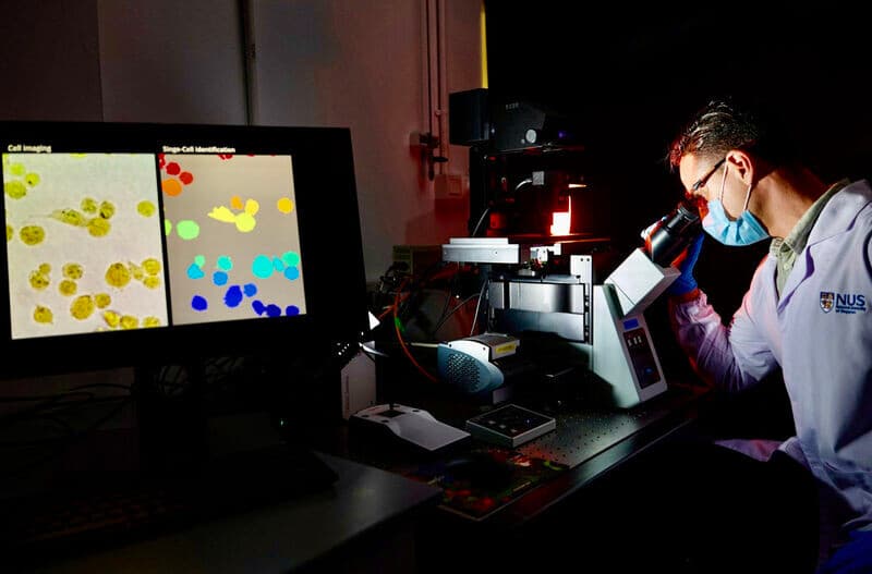 AI Identifies Live Cancer Cells In Less Than 35 Minutes With 95% Accuracy
