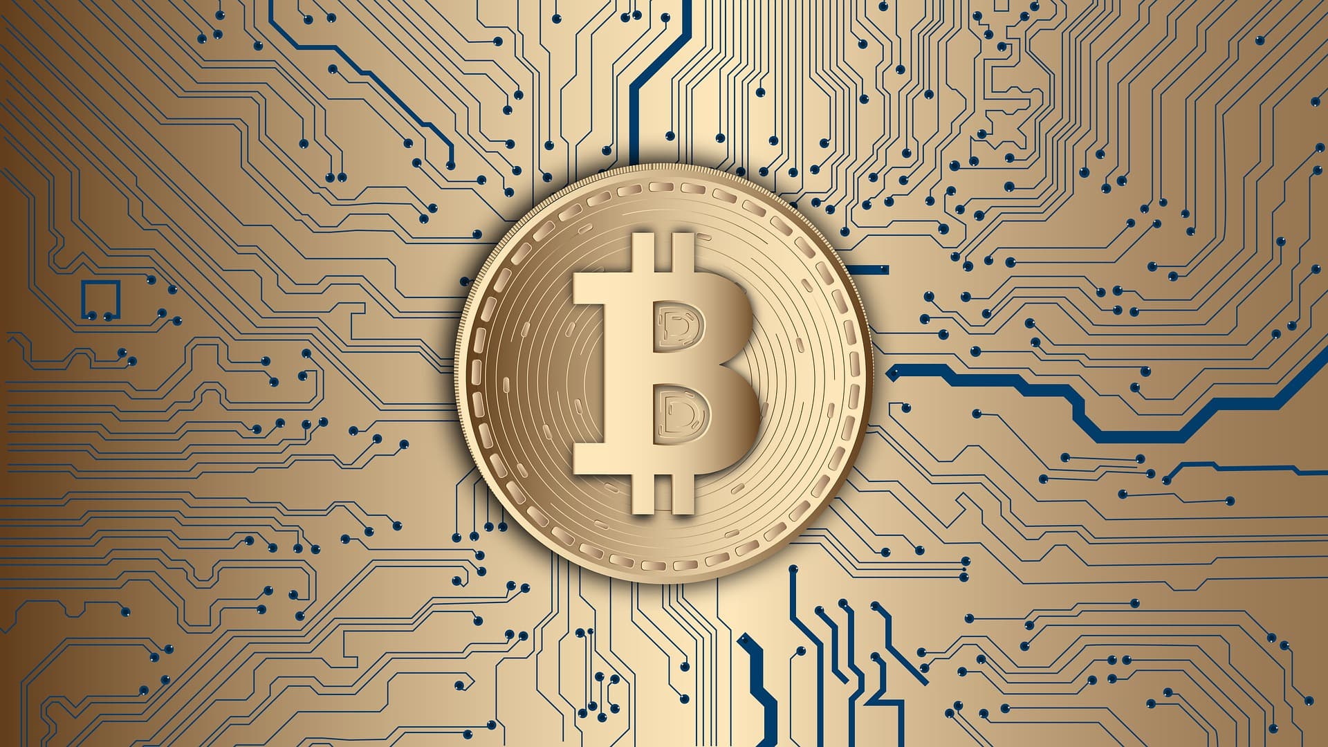 What Does The Emerging of New Cryptocurrencies Mean For The Economy